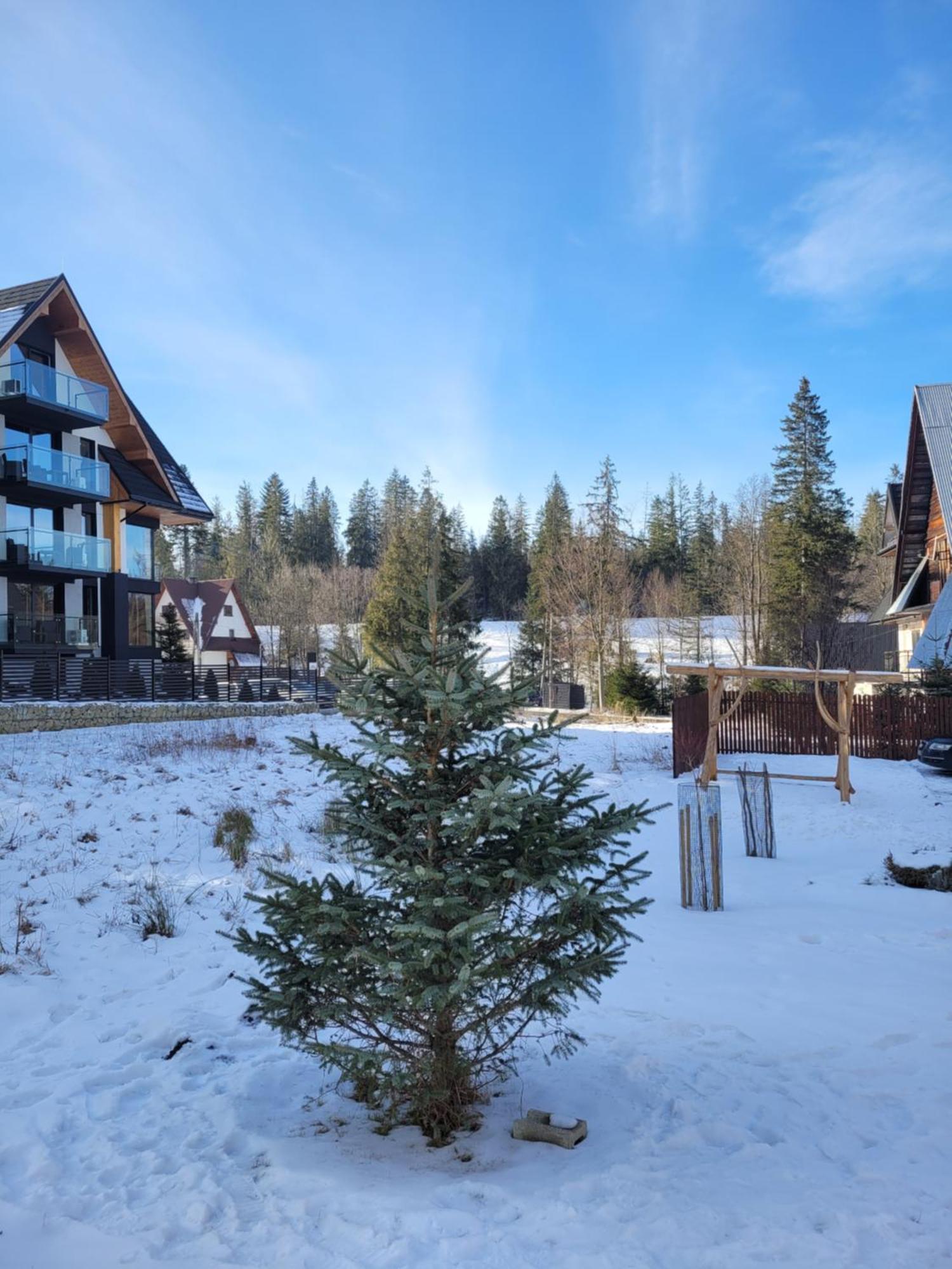 Zakopianskie Zacisze Zakopane Buitenkant foto